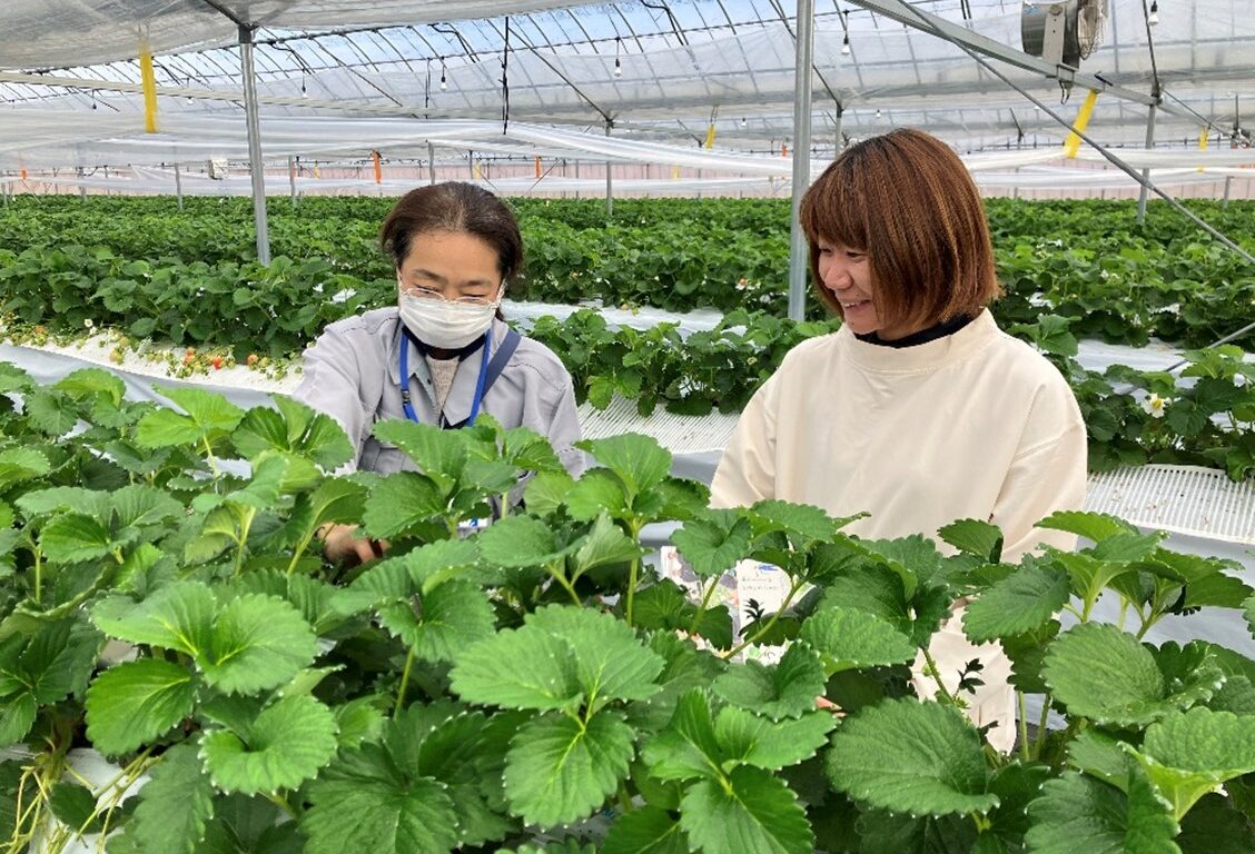 ロールモデルメイン画像