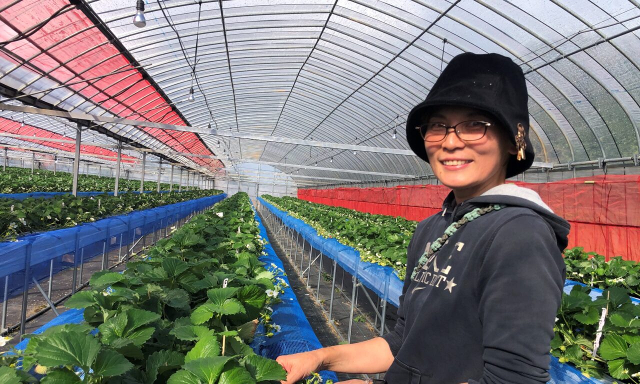 ロールモデルメイン画像