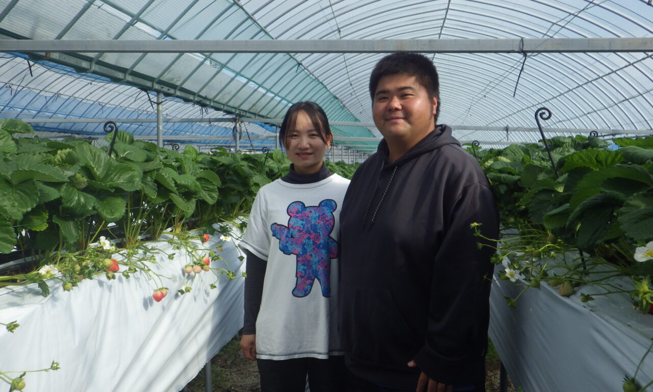 ロールモデルメイン画像