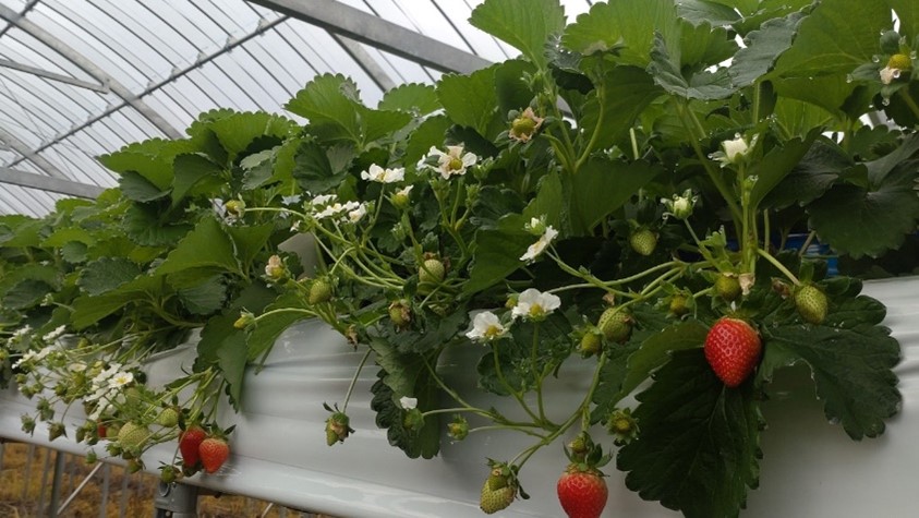 ロールモデルメイン画像