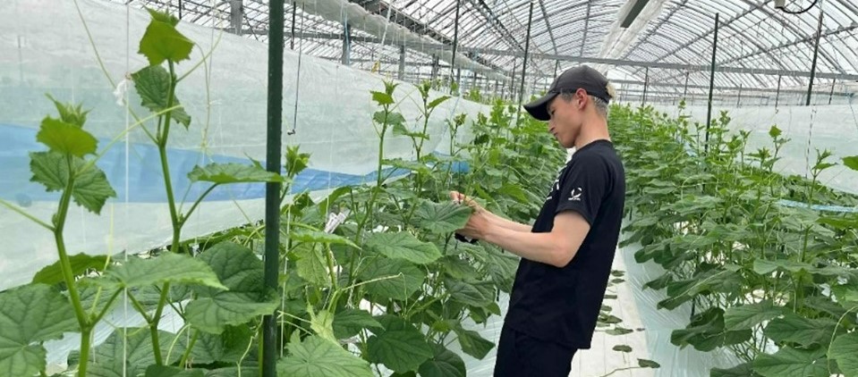 ロールモデルメイン画像