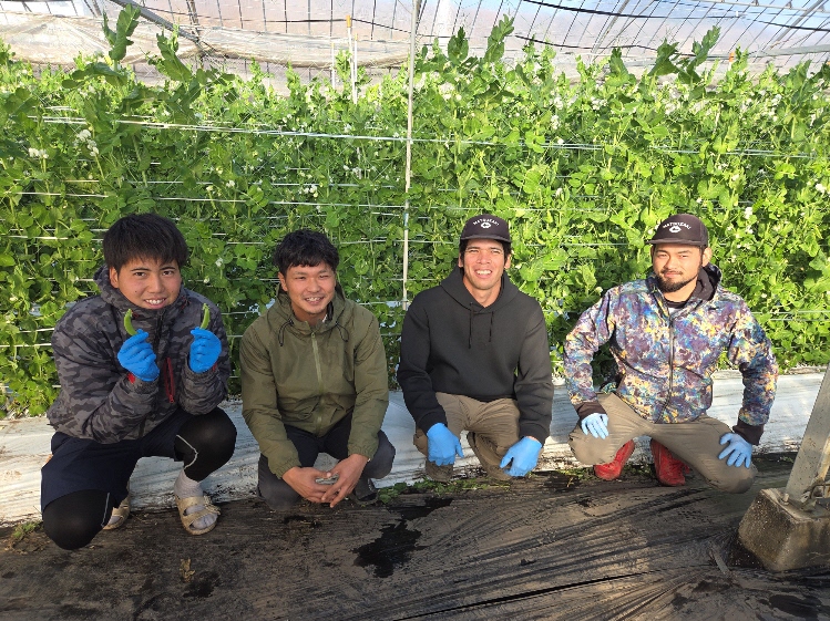 ロールモデルメイン画像